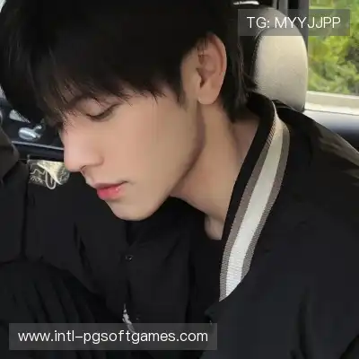 文明楠